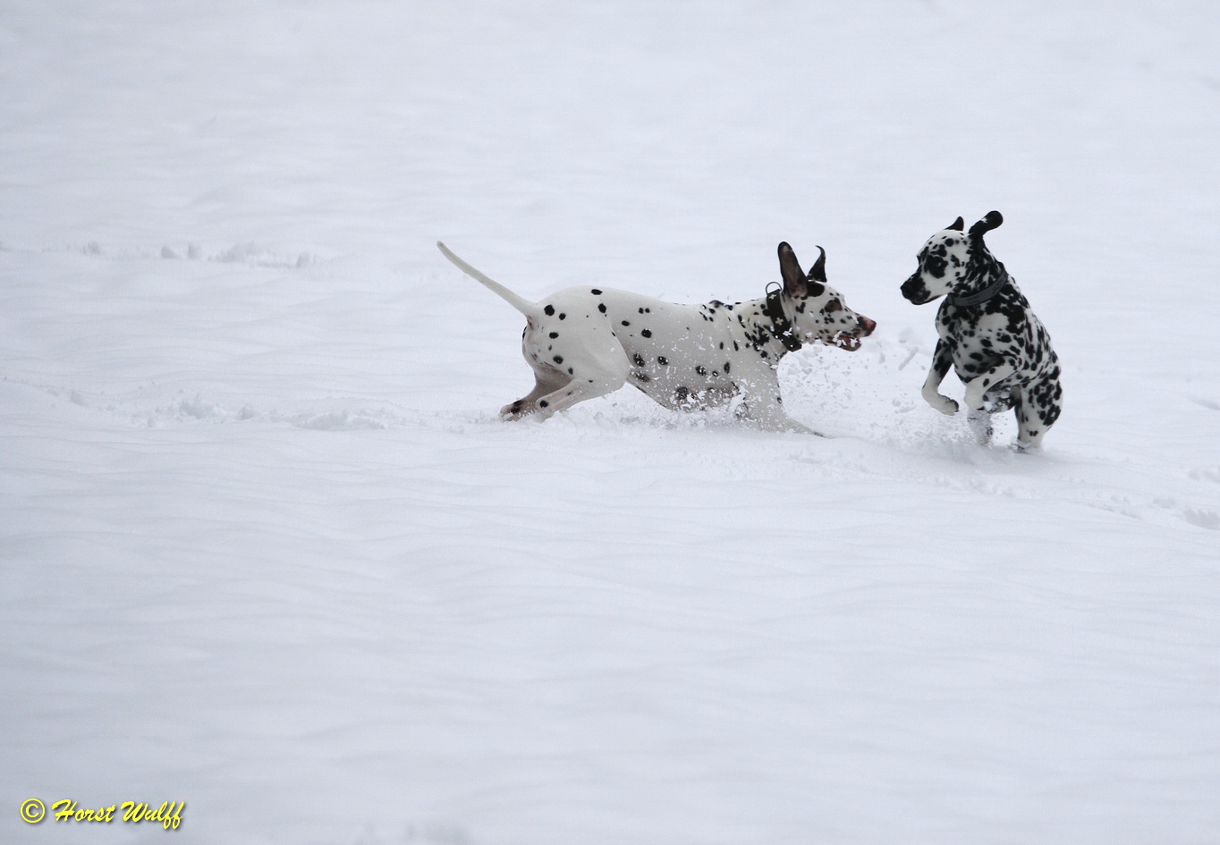 Punkte im Schnee