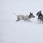 Punkte im Schnee