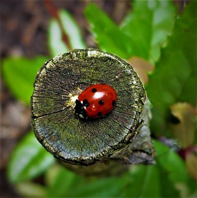 --  PUNKTLANDUNG  --