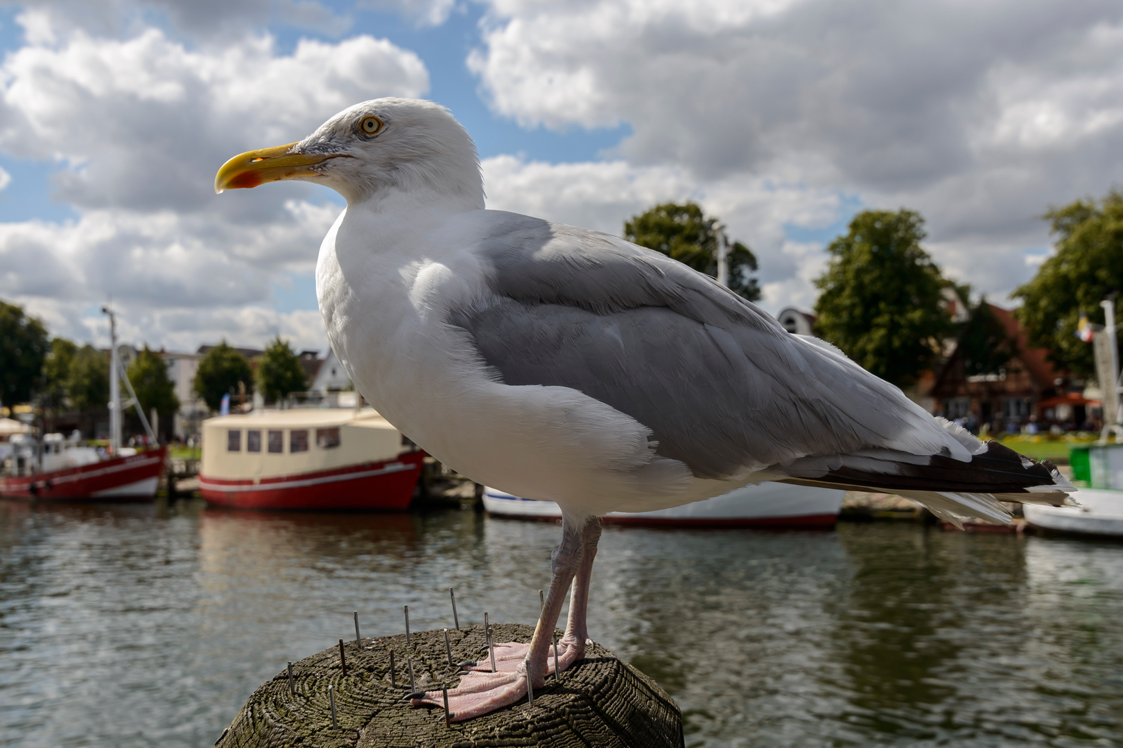 Punktlandung