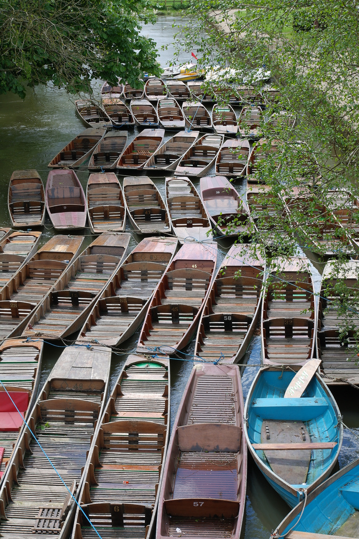 Punt boat