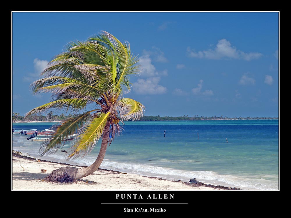 Punta Allen