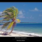 Punta Allen