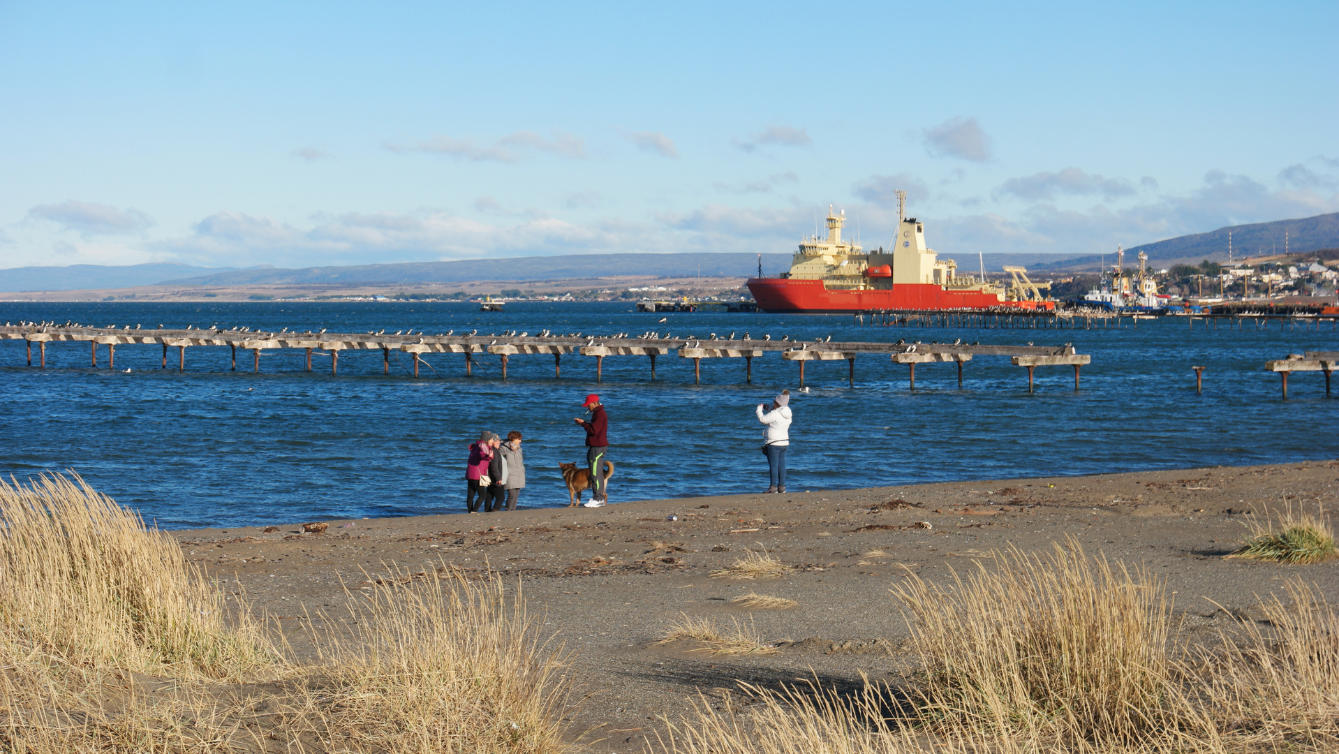 Punta Arenas