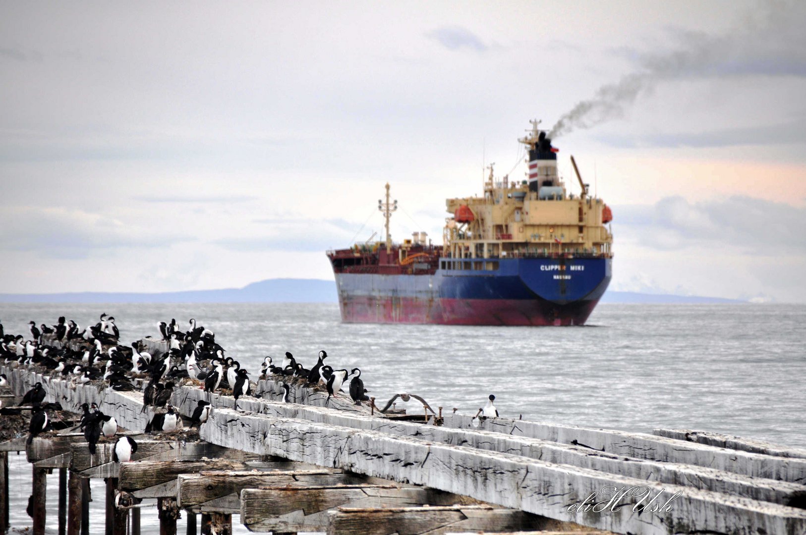 Punta Arenas