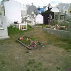 Punta Arenas - Friedhof - Wieviel Erde braucht der Mensch ?