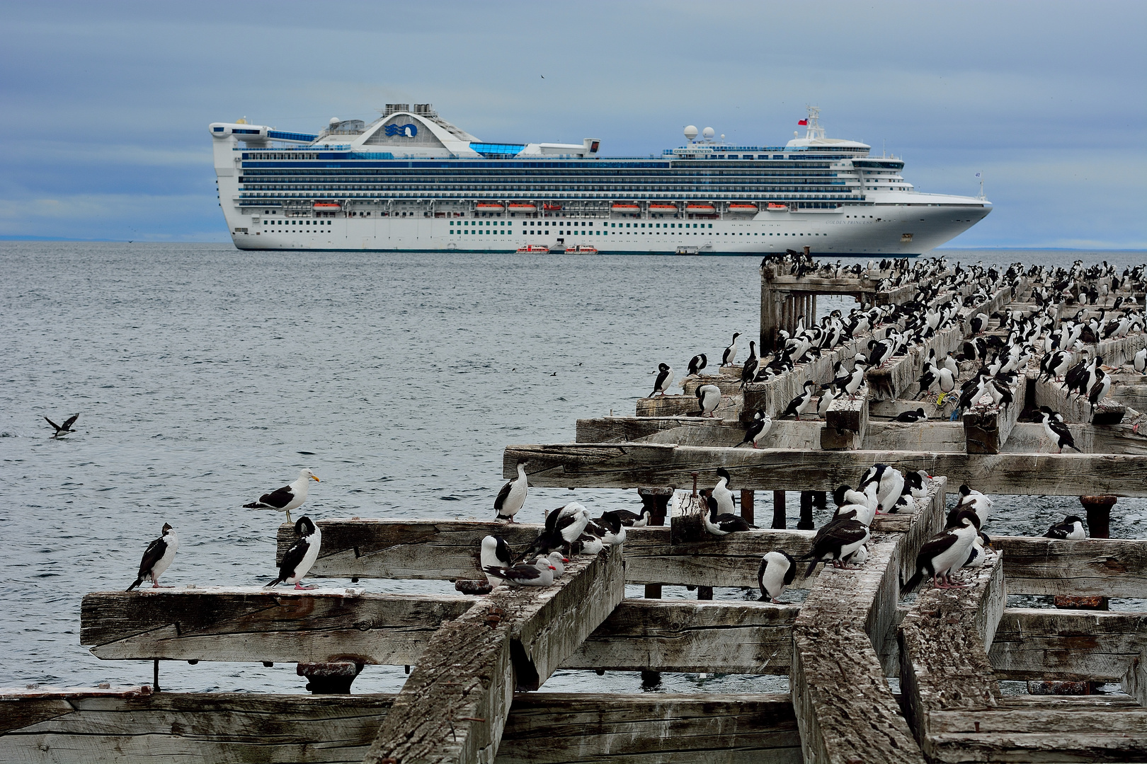 Punta Arenas_Hafen