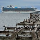 Punta Arenas_Hafen