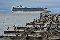 Punta Arenas_Hafen