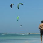 Punta Blanca Isla de Coche, Venezuela