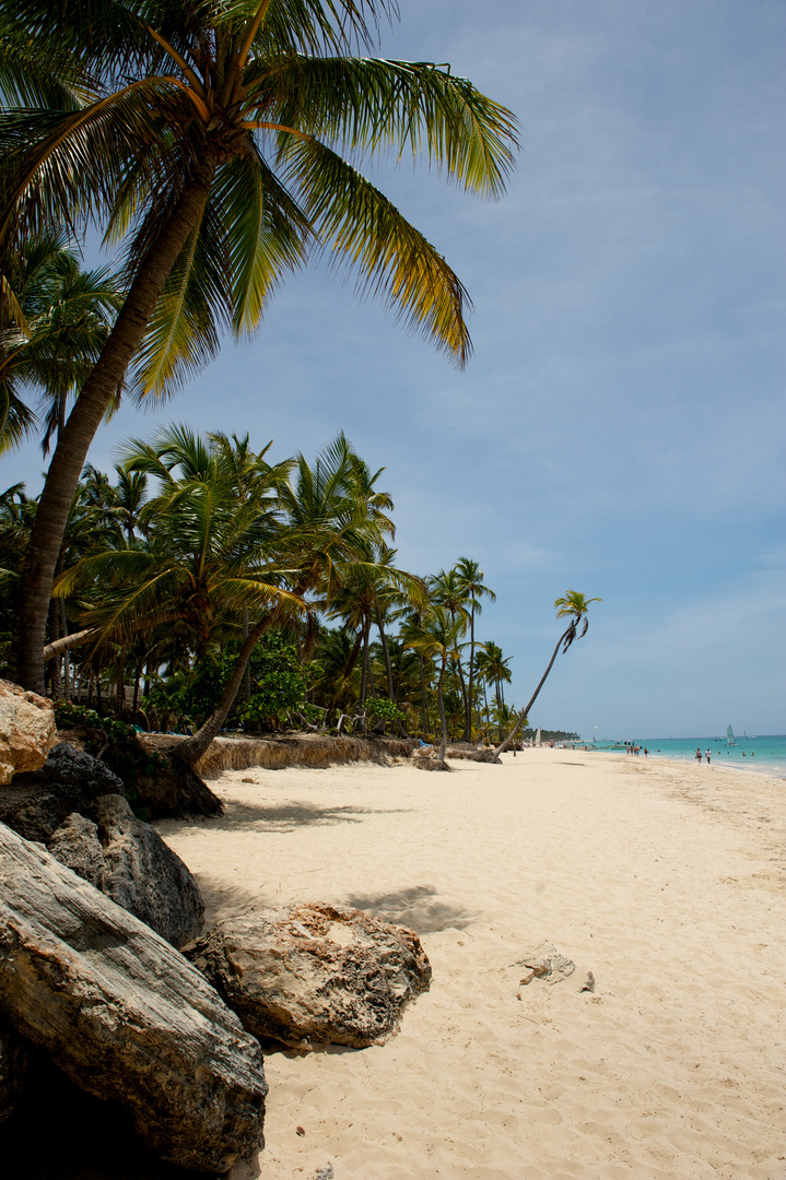 Punta Cana 2011#1