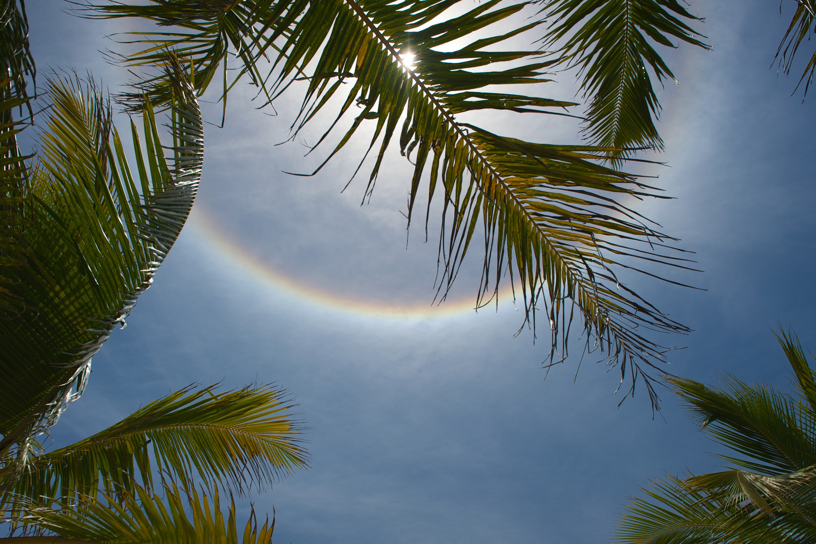 Punta Cana 2011#2