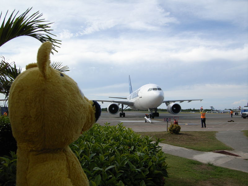 Punta Cana 30°C- Das Fell sitzt- 3 Wetter Flausch