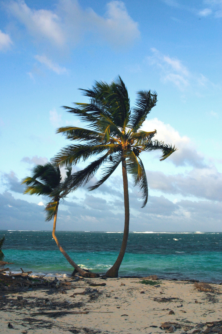 Punta Cana