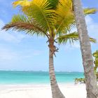 Punta Cana, Dominikanische Republik, Bavaro Beach,