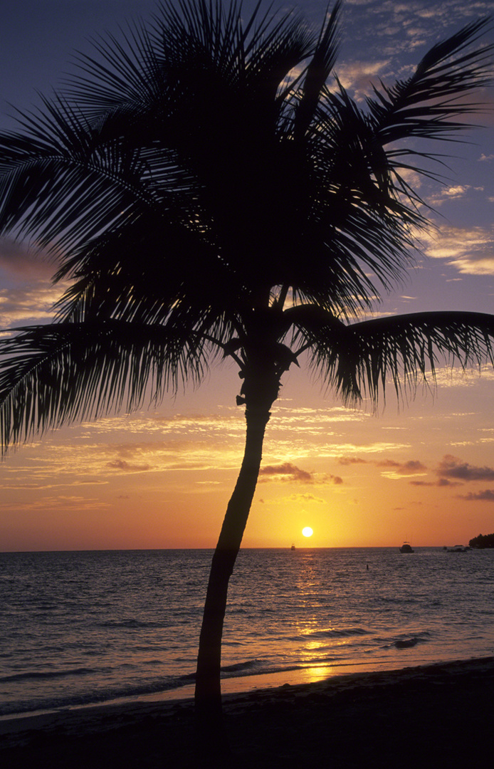 Punta Cana Sunrise