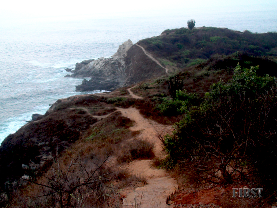 Punta Cometa