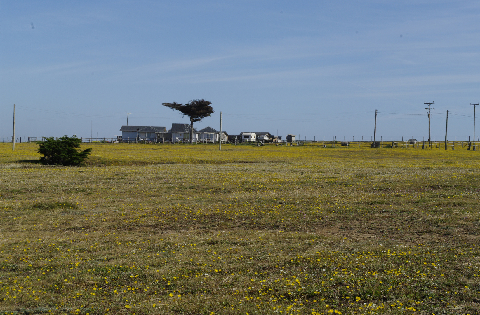 Punta de loboS