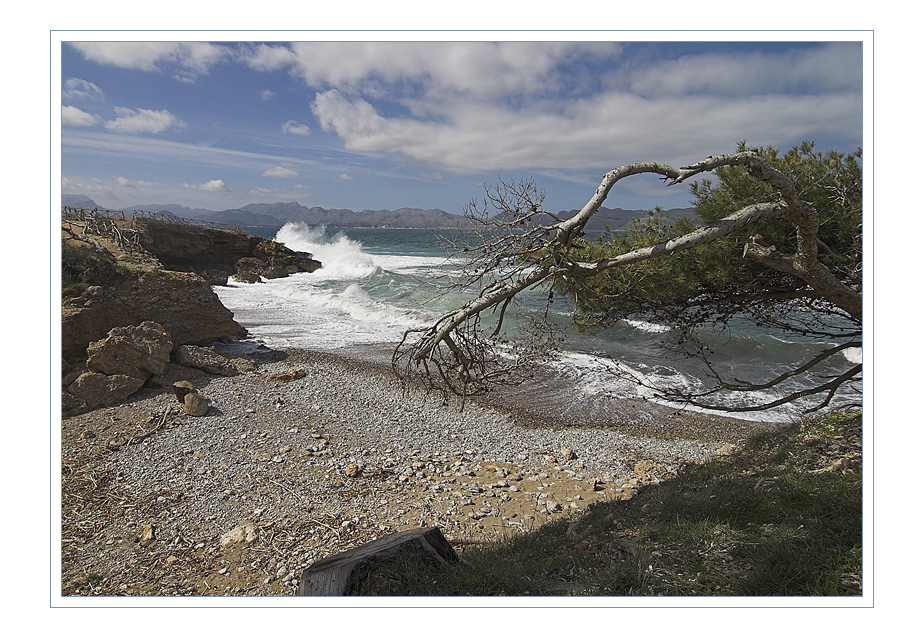 Punta de sa Guarda de Tacaritx