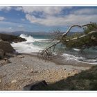 Punta de sa Guarda de Tacaritx