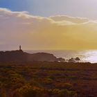 Punta de Teno