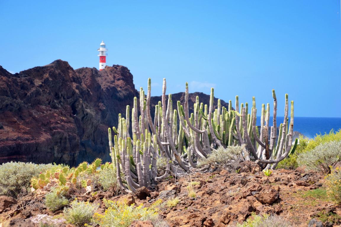 Punta de Teno: Der Leuchtturm