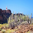 Punta de Teno: Der Leuchtturm