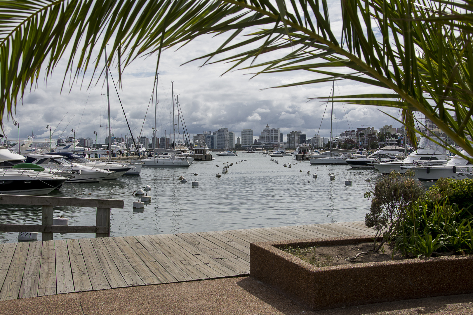 Punta del Este