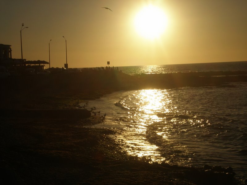 Punta del Este. UN PARAÍSO