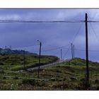 Punta do Pargo (Velvia10000036_01)