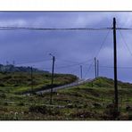 Punta do Pargo (Velvia10000036_01)