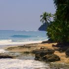 Punta Mona. Provincia de Limón, Costa Rica