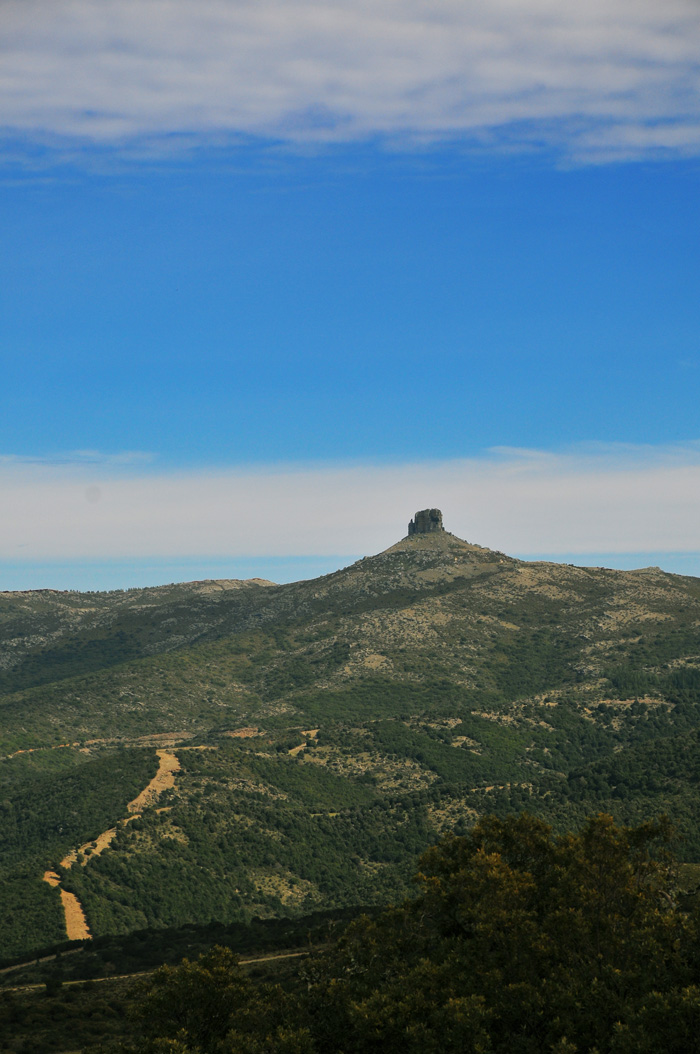 Punta Perda Liana