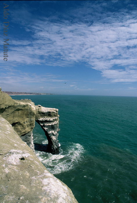 Punta Perico