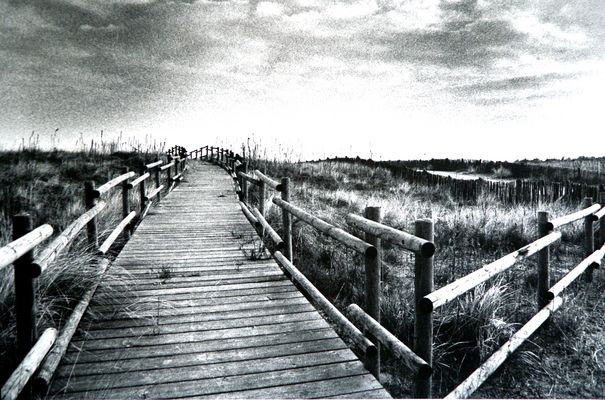 punta sabbioni d'inverno