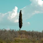 PUNTE DI TOSCANA