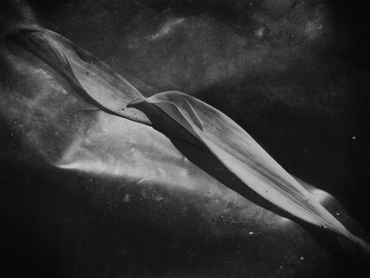 ..punti di vista...II