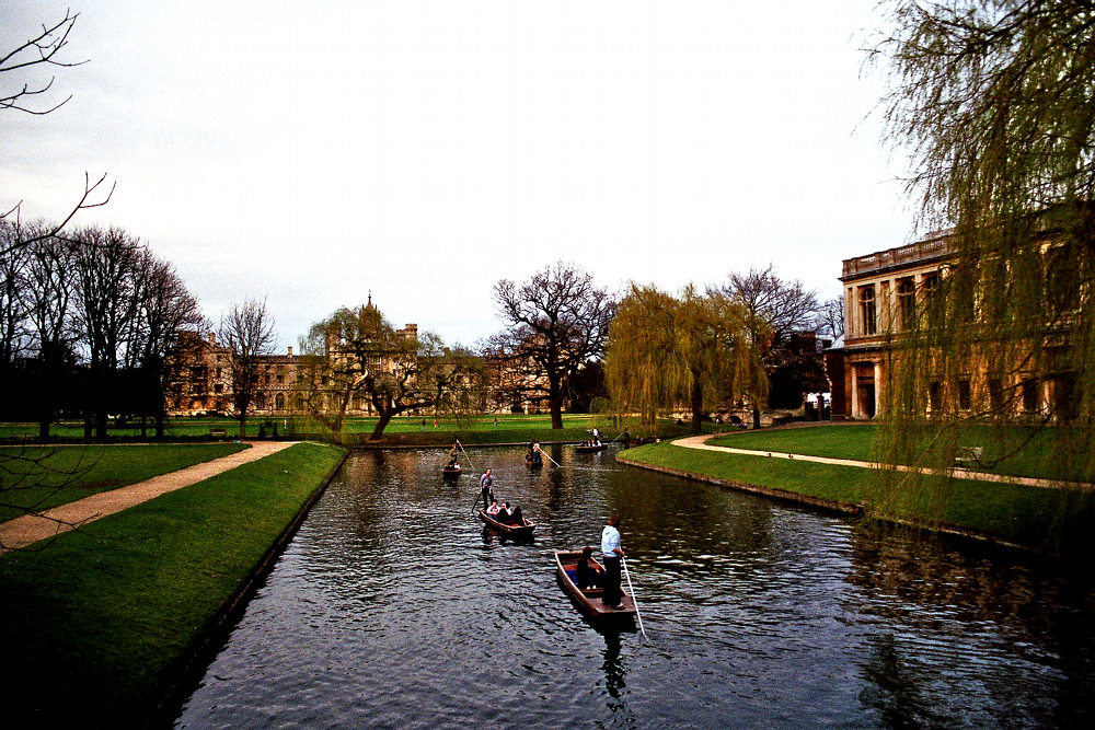 Punting