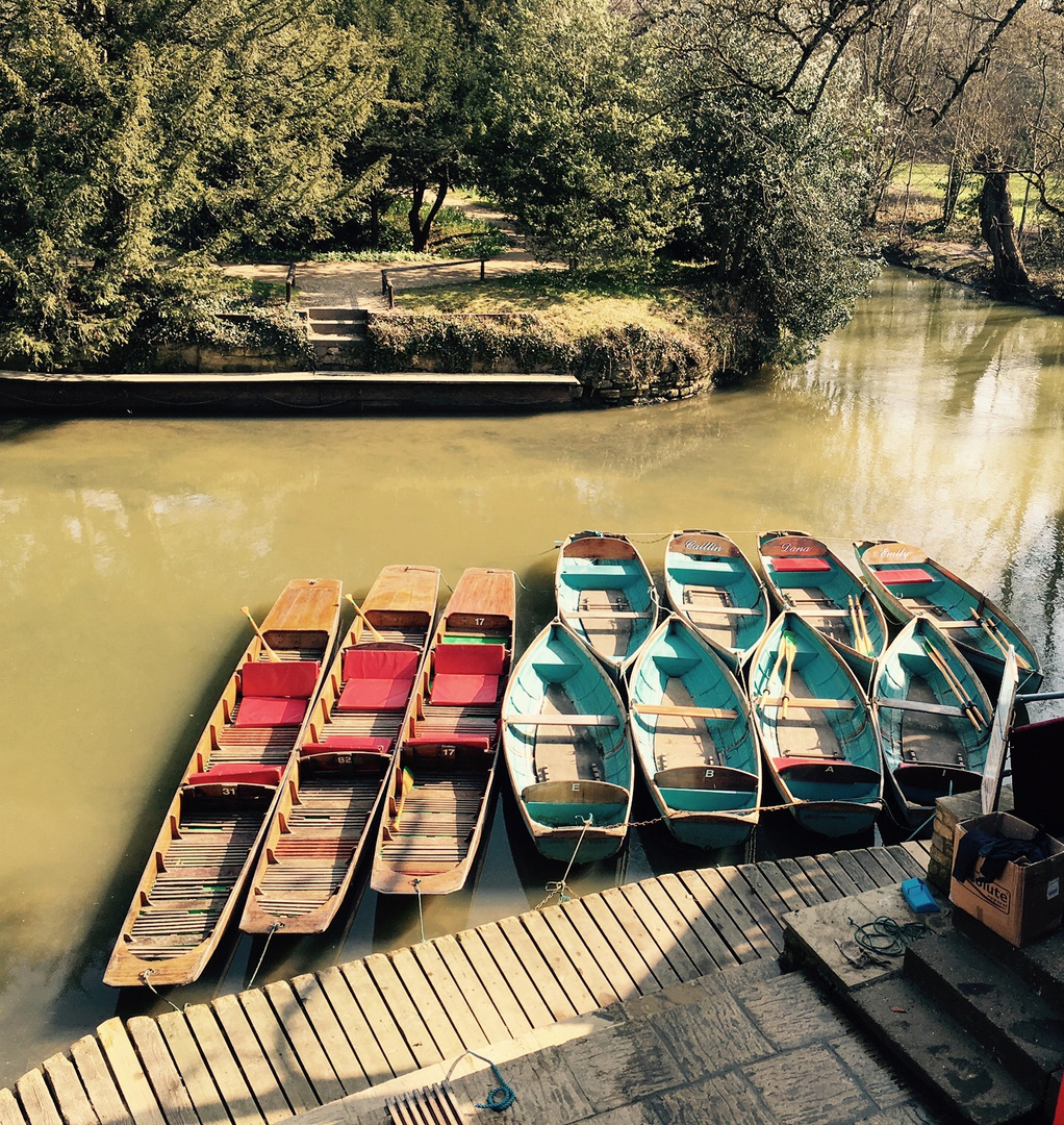 Punting in Oxford