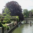 punting on river Cam