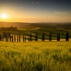 Punto Panoramico Crete Senesi Agr. Baccoleno