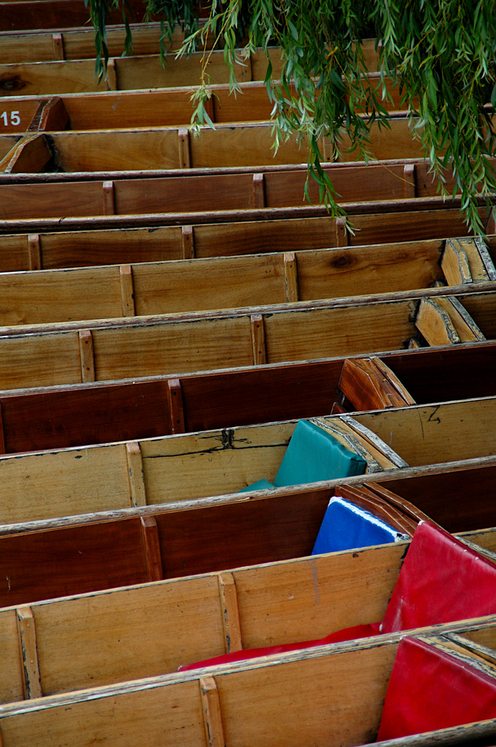 Punts in Cambridge