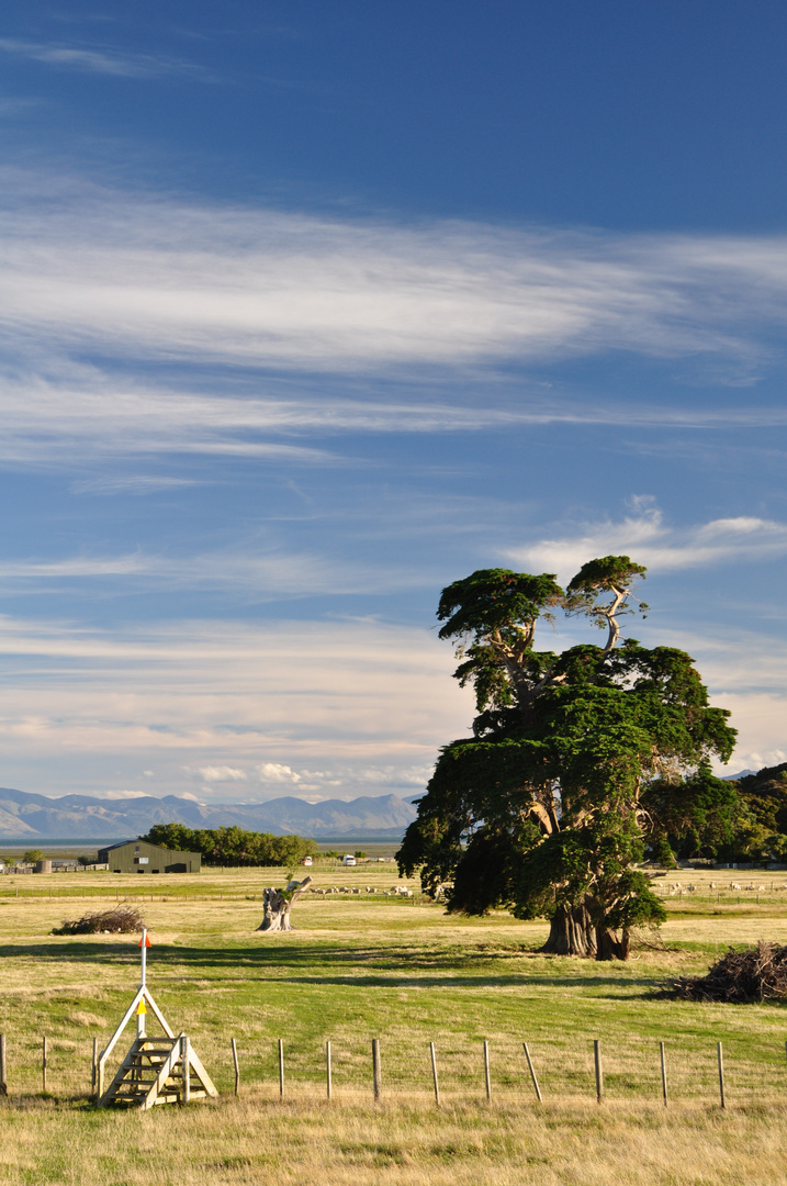 Puponga Farm