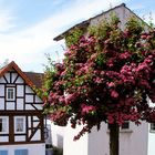 Puppenhaus und Blumenstrauß?