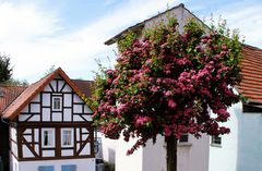 Puppenhaus und Blumenstrauß?