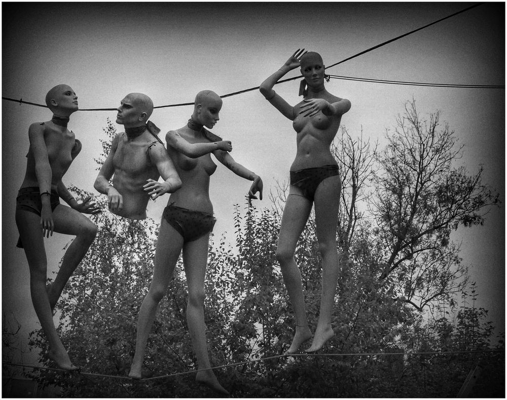 . Puppets on a string .