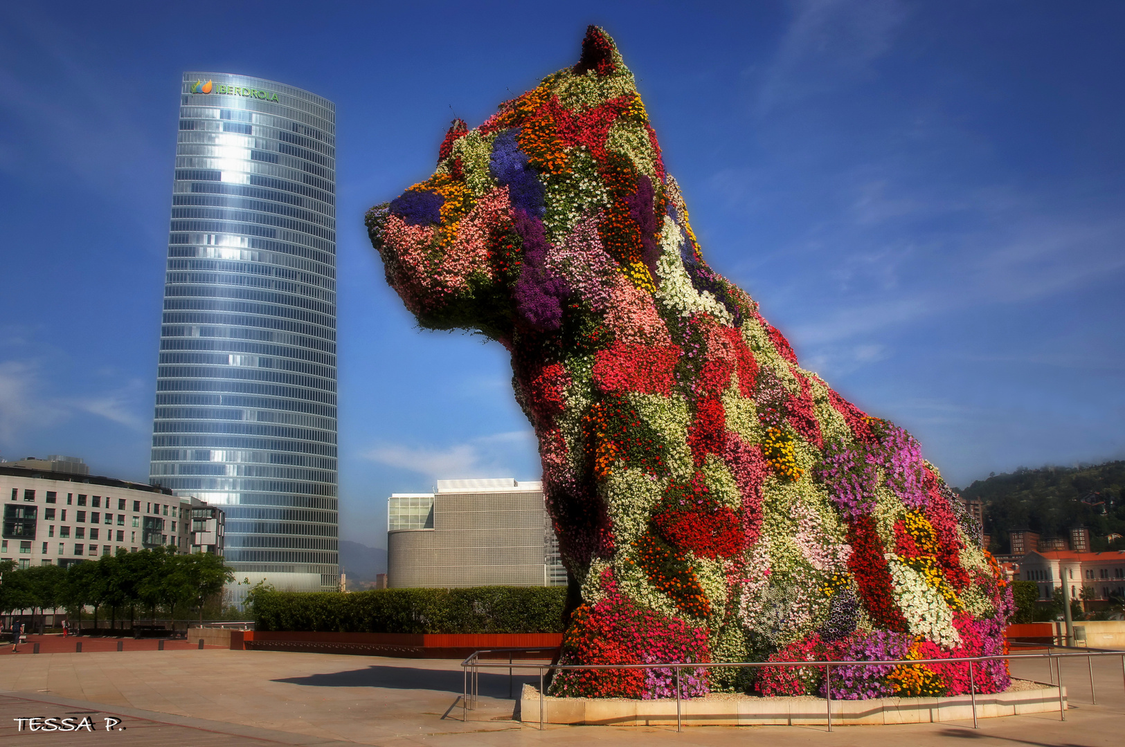 PUPPY BILBAO SE VISTE DE VERANO. Para MONTSE TRILLA.