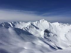 pur et toujours plus blanc que blanc