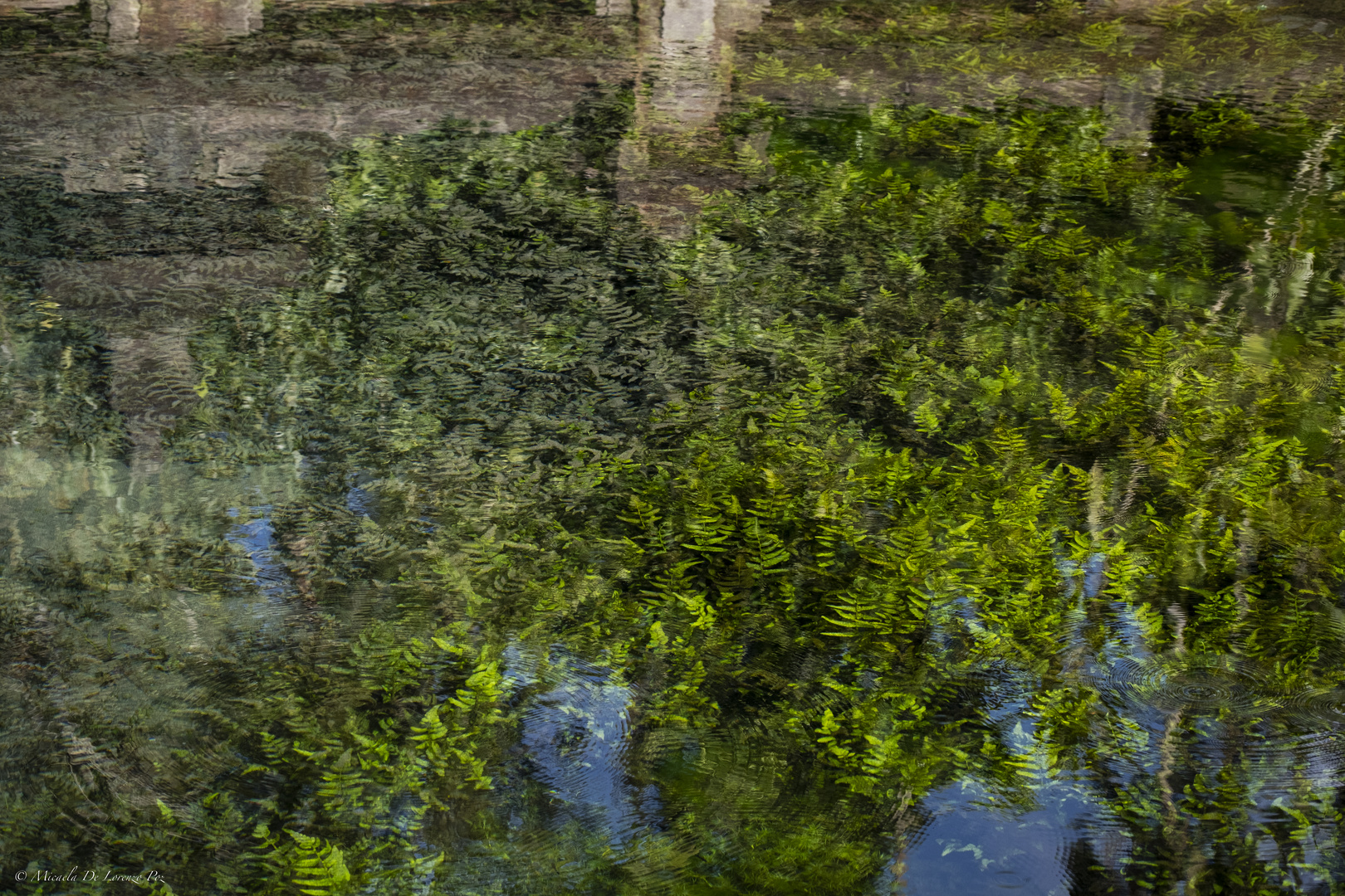 Pura Tirta Empul, Bali, Indonesia