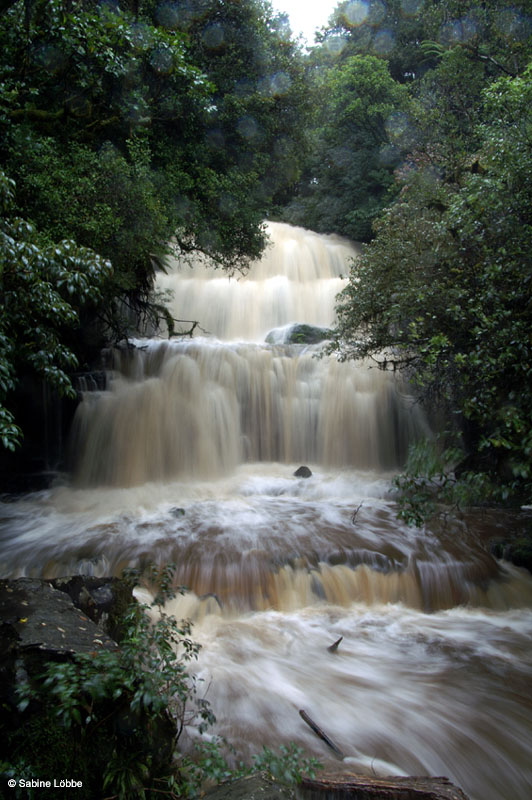 Purakaunui Falls